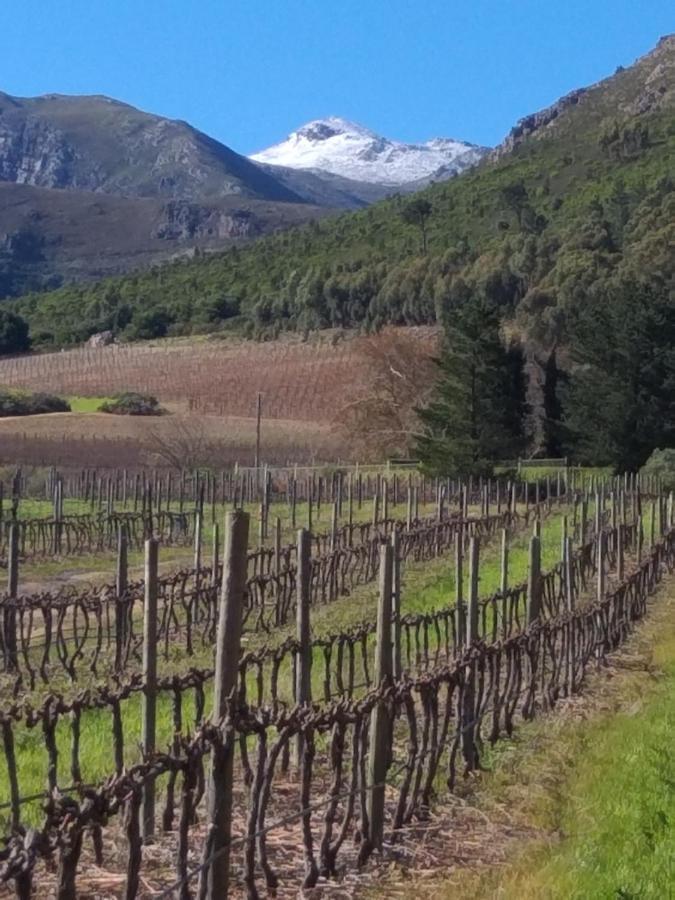 L'Auberge Chanteclair Franschhoek Εξωτερικό φωτογραφία