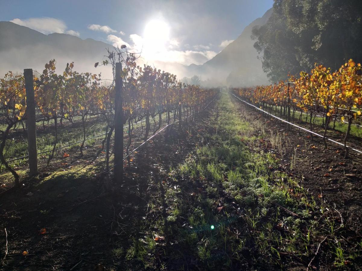 L'Auberge Chanteclair Franschhoek Εξωτερικό φωτογραφία
